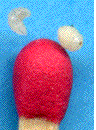 larves de galles lenticulaires