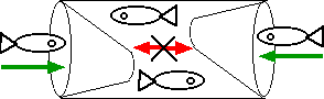illustration du principe de la nasse à poissons