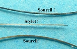 la Rhysse persuasive (Rhyssa persuisoria) comparaison du stylet avec un poil de sourcil.